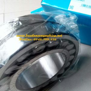 BAC ĐẠN 22326EMKD1C3