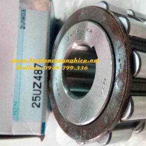 BẠC ĐẠN 25UZ487