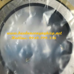 BẠC ĐẠN VÒNG BI 65UZS418